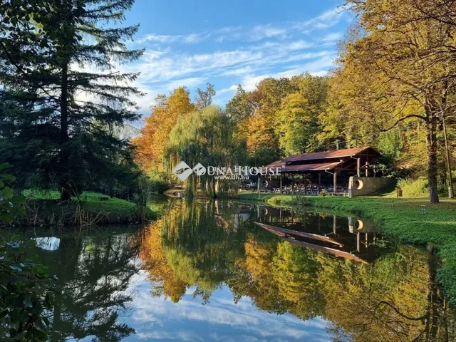 Eladó ház Komló 240 nm