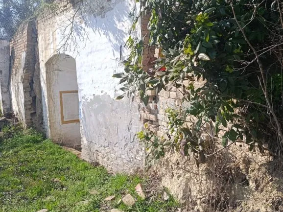 Eladó telek Mohács, Szőlőhegy 1267 nm