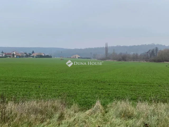 Eladó telek Torony, Ady Endre utca 60951 nm