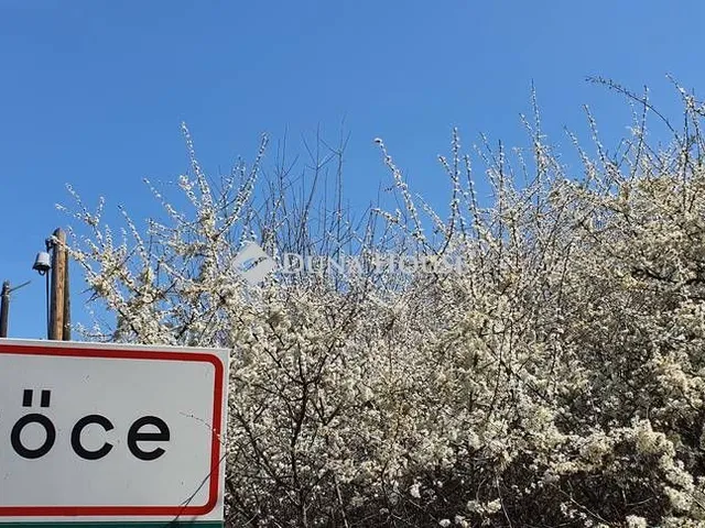 Eladó telek Szőce, Petőfi Sándor út 16533 nm