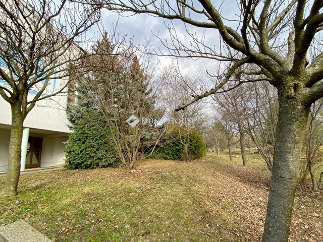 Eladó lakás Kőszeg 178 nm