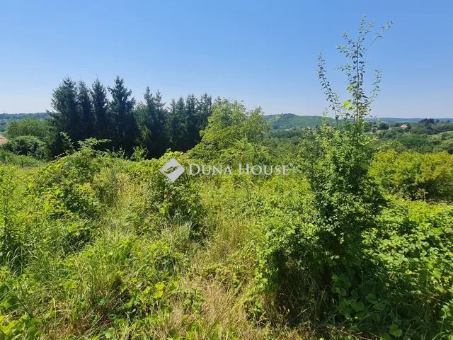 Eladó telek Zalaegerszeg 4234 nm