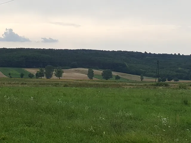 Eladó mezőgazdasági ingatlan Kehidakustány 5801 nm