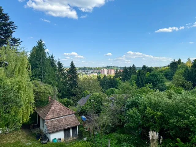 Eladó ház Zalaegerszeg 300 nm