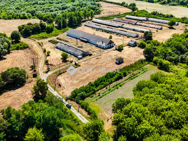 Eladó mezőgazdasági ingatlan Kemendollár, Nincs utca 200000 nm