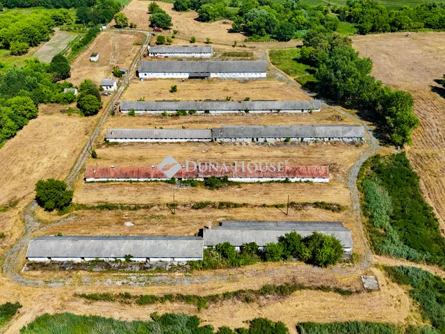 Eladó mezőgazdasági ingatlan Kemendollár, Nincs utca 200000 nm