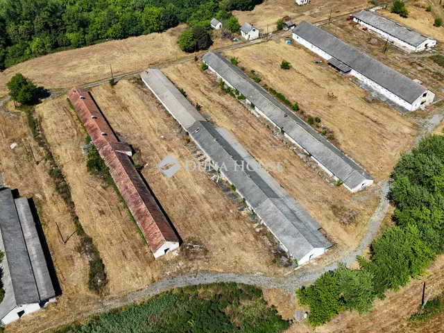 Eladó mezőgazdasági ingatlan Kemendollár, Nincs utca 200000 nm