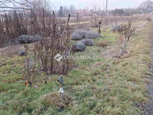 Eladó telek Körmend 449 nm