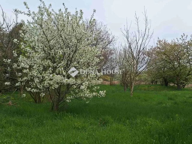 Eladó ház Győrvár, Béri Balogh Ádám utca 135 nm