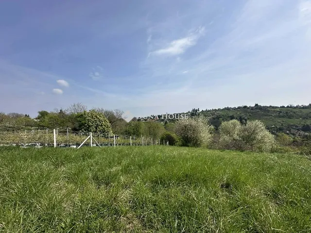 Eladó telek Zalaegerszeg 13145 nm