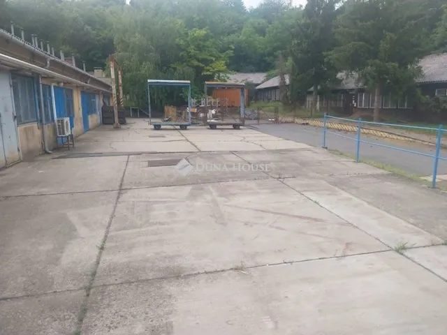 Kiadó kereskedelmi és ipari ingatlan Zalaegerszeg, Alsóerdei út 65 nm
