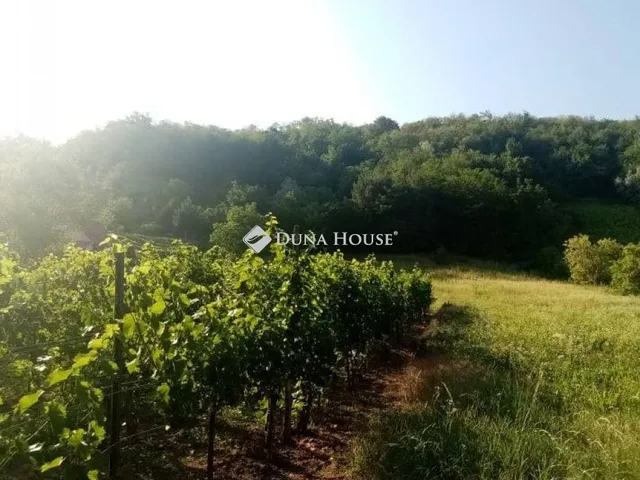 Eladó telek Tokaj 13948 nm