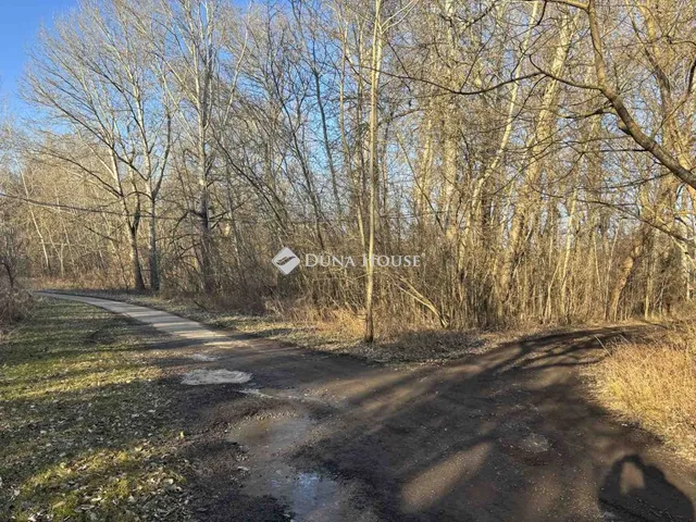 Eladó mezőgazdasági ingatlan Tiszatelek