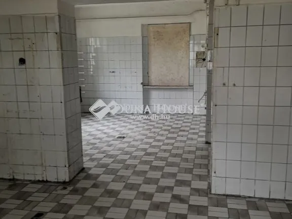 Eladó kereskedelmi és ipari ingatlan Nyírtelek 140 nm