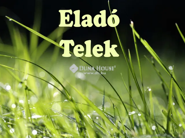 Eladó telek Nagyhalász 1600 nm