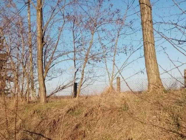 Eladó telek Nagyhalász 5060 nm