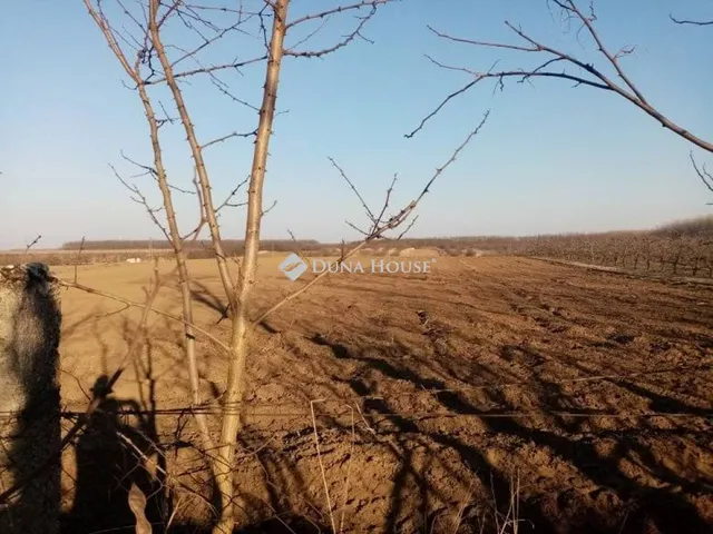 Eladó telek Nagyhalász 5060 nm