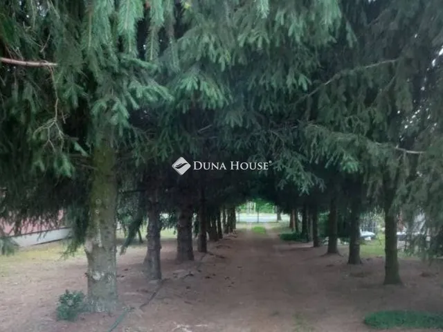 Eladó telek Nagyhalász, Mágasortanya 4000 nm