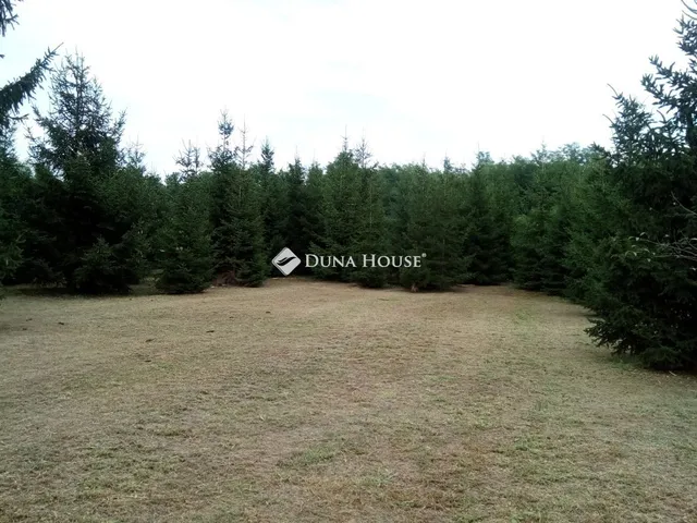 Eladó telek Nagyhalász, Mágasortanya 4000 nm