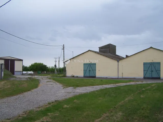 Eladó kereskedelmi és ipari ingatlan Nyírcsaholy 209 nm