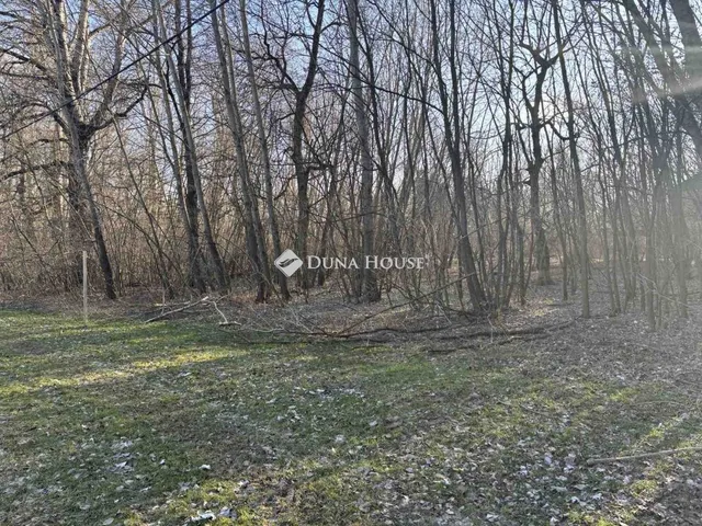 Eladó mezőgazdasági ingatlan Tiszatelek, Nincs utca