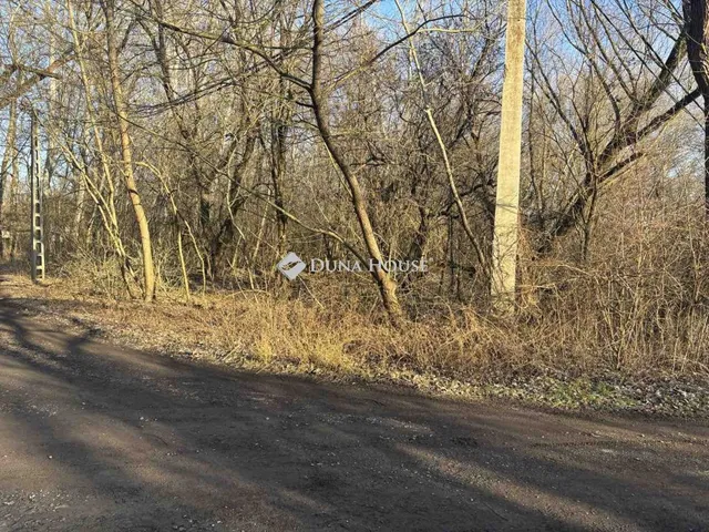 Eladó mezőgazdasági ingatlan Tiszatelek, Nincs utca