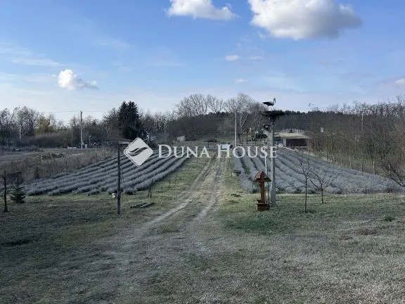 Eladó telek Nyírtura 5635 nm