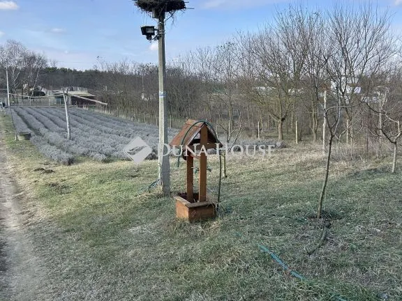 Eladó telek Nyírtura 5635 nm