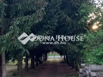 Eladó telek Nagyhalász, Mágasortanya 3170 nm