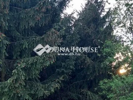 Eladó telek Nagyhalász, Mágasortanya 3170 nm