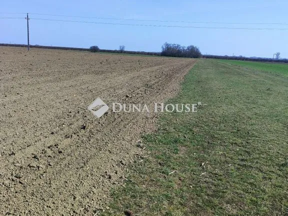 Eladó telek Cigánd, Bem József utca 5426 nm