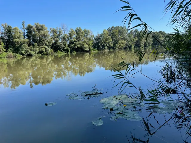 Eladó telek Szegi 2182 nm