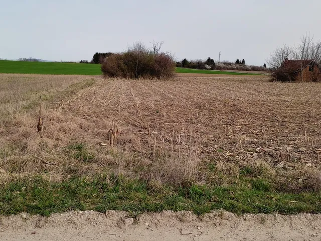 Eladó mezőgazdasági ingatlan Balatonkeresztúr 2708 nm