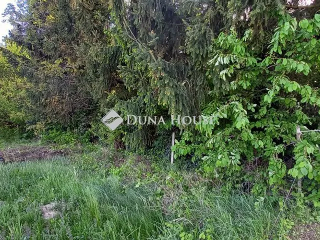 Eladó telek Szepetnek, Nincs utca 2601 nm