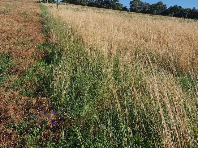 Eladó ház Tótvázsony 105 nm