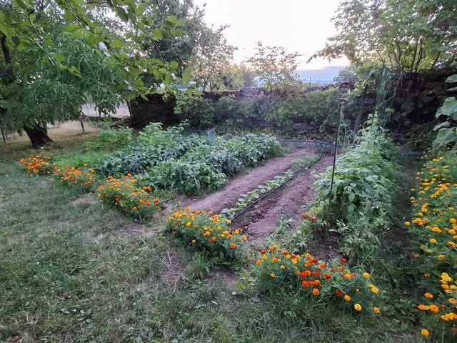 Eladó ház Tótvázsony 115 nm