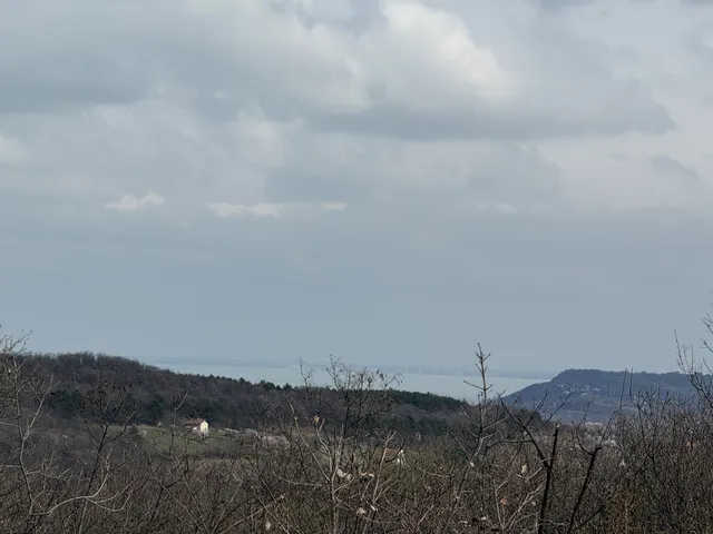 Eladó mezőgazdasági ingatlan Pécsely 1539 nm