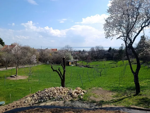 Eladó mezőgazdasági ingatlan Paloznak 2913 nm