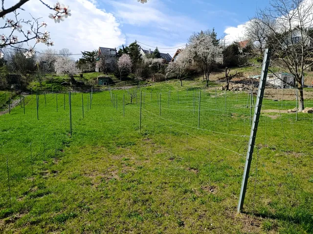 Eladó telek Csopak 2913 nm