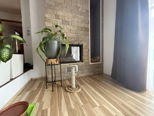 Kiadó ház Öskü 160 nm