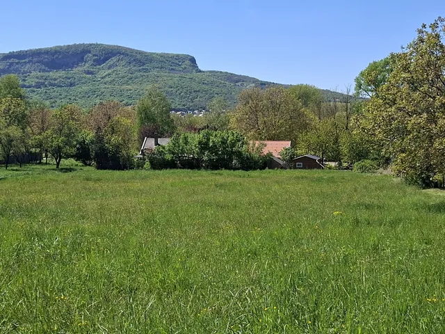 Eladó telek Badacsonytomaj 1539 nm