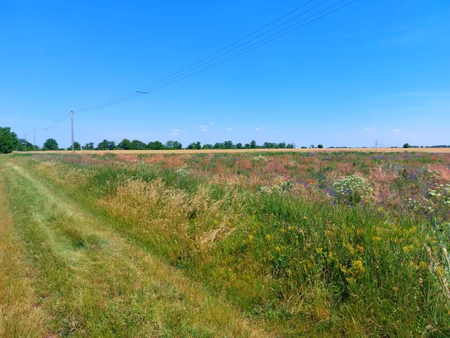 Eladó telek Besnyő 880 nm