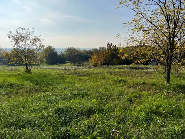 Eladó telek Kajászó, Budai utca 800 nm