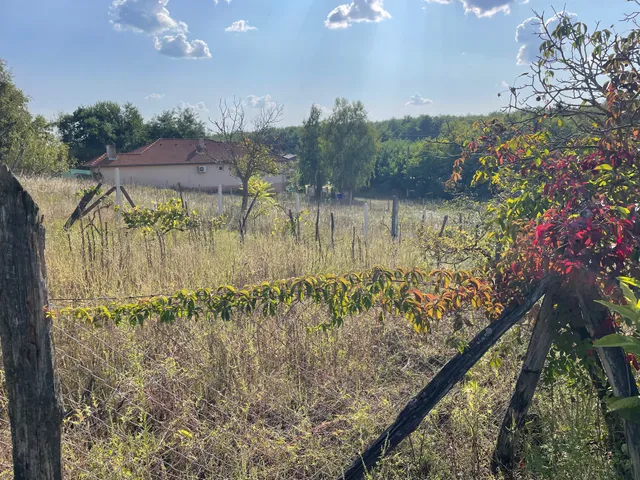 Eladó telek Nyírpazony, Kabalás 806 nm