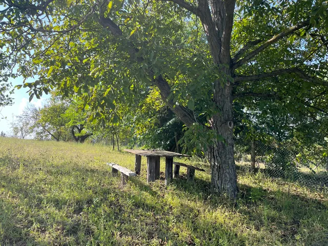 Eladó telek Nyírpazony, Kabalás 806 nm