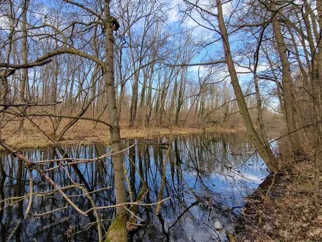 Eladó telek Dunavarsány 1264 nm