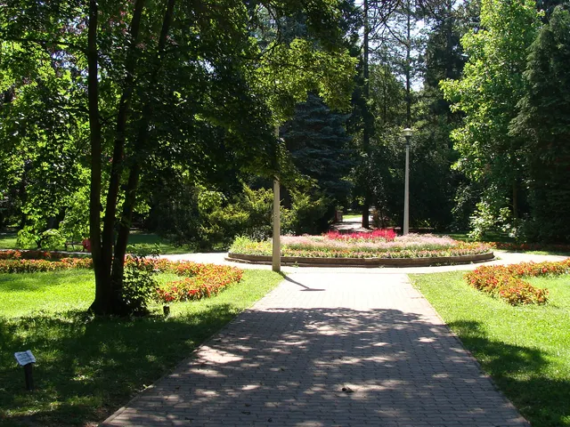 Eladó kereskedelmi és ipari ingatlan Miskolc, Miskolctapolca 175 nm