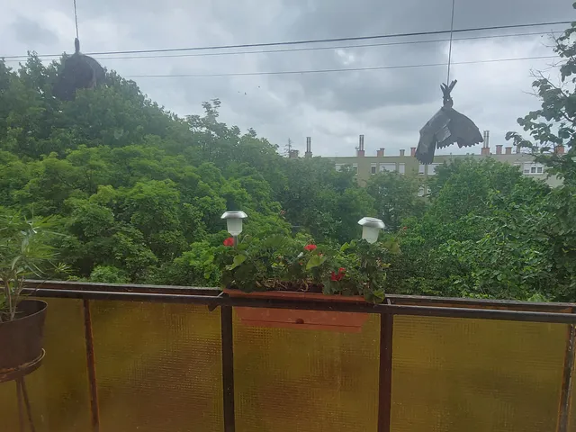 Kiadó lakás Miskolc, Szentpéteri kapu, Kassai 56 nm