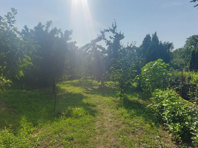 Eladó ház Arnót, Petőfi 133 nm