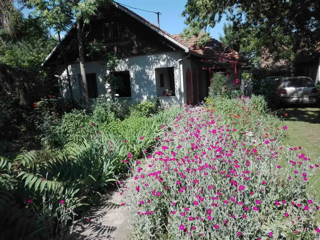 Eladó mezőgazdasági ingatlan Békéscsaba 100 nm